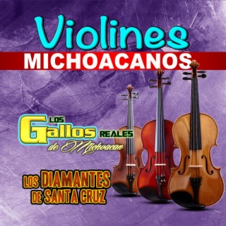 Violines Michoacanos