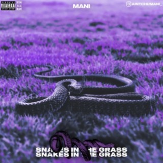 Snakes in the Grass