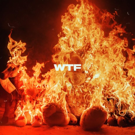 WTF | Boomplay Music