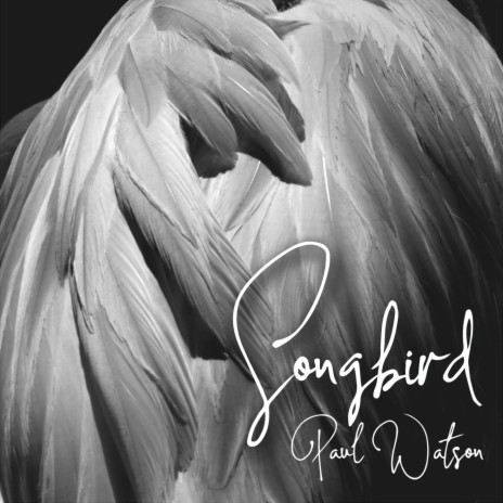 Songbird | Boomplay Music