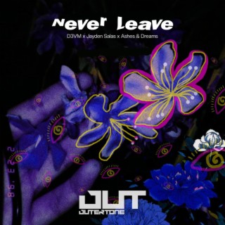 Never Leave (feat. Jayden Salas & Ashes and Dreams)