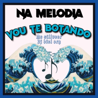 NA MELODIA VOU TE BOTANDO