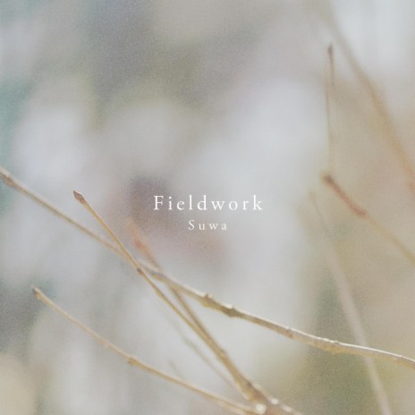 Fieldwork#3 at Suwa | Boomplay Music