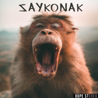 Saykonak