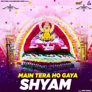 Main Tera Ho Gaya Shyam