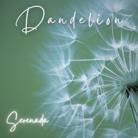 Dandelion | Boomplay Music