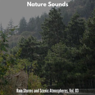 Nature Sounds - Rain Storms and Scenic Atmospheres, Vol. 03