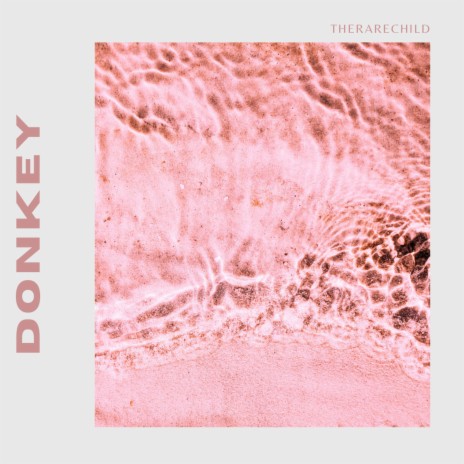 Donkey | Boomplay Music