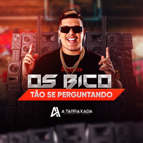 Os Bico Tão Se Perguntando | Boomplay Music