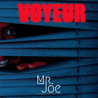 Voyeur