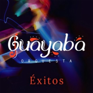 Guayaba Orquesta Éxitos, Vol.1