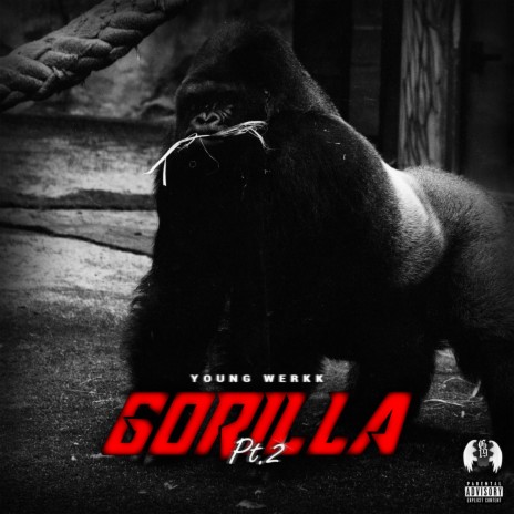 Gorilla, Pt. 2 | Boomplay Music