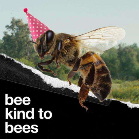 Bee Kind to Bees