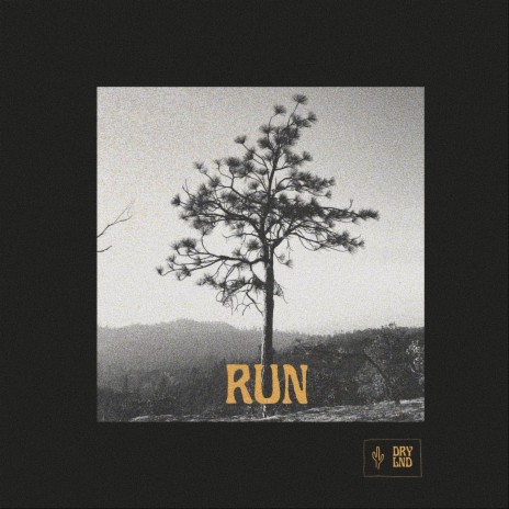 Run | Boomplay Music