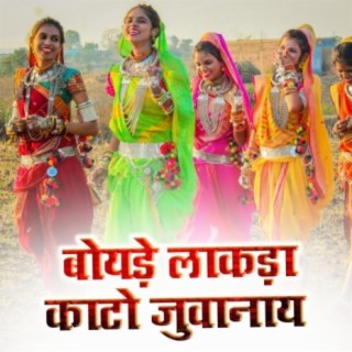 Boyde Lakda Kato Juvanay Aadiwasi Music