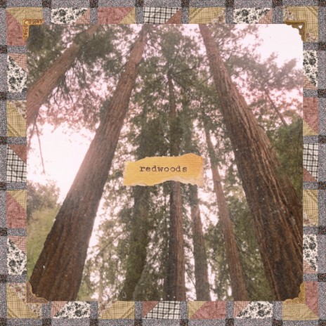 redwoods | Boomplay Music