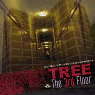 The 3rd Floor