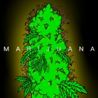 Marijuana