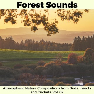 Forest Sounds - Atmospheric Nature Compositions from Birds, Insects and Crickets, Vol. 02