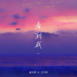 看到我 ft. 王子权 lyrics | Boomplay Music