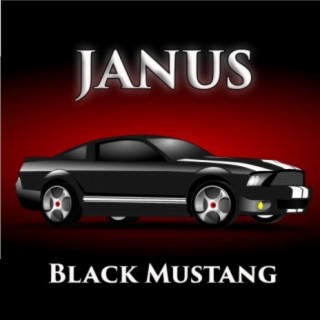 Black Mustang