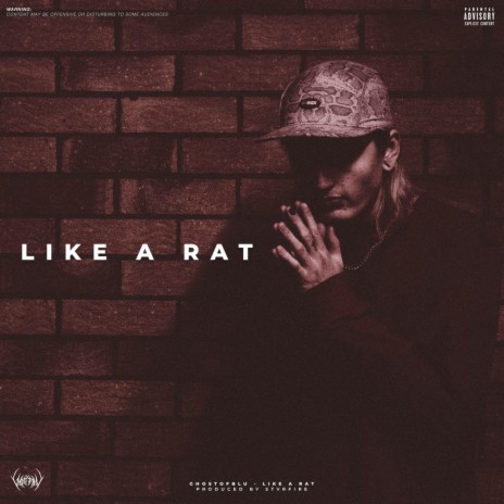 LIKE A RAT | Boomplay Music