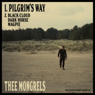 Pilgrim's Way