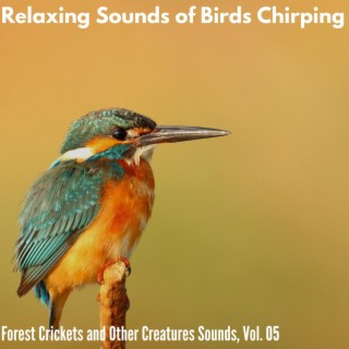 Relaxing Sounds of Birds Chirping - Forest Crickets and Other Creatures Sounds, Vol. 05