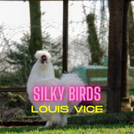 Silky Birds | Boomplay Music