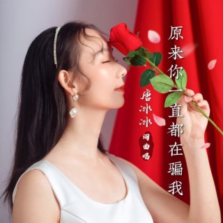 原来你一直都在骗我（DJ阿杰版） lyrics | Boomplay Music