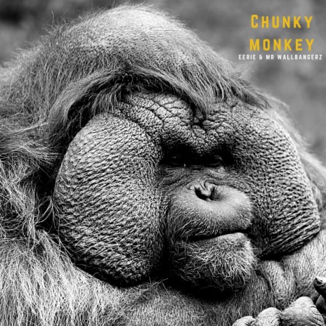 Chunkey Monkey