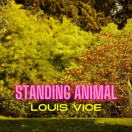 Standing Animal