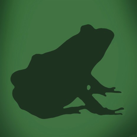 frog | Boomplay Music