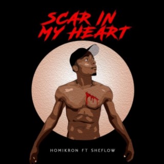 Scar In My Heart (feat. Sheflow)