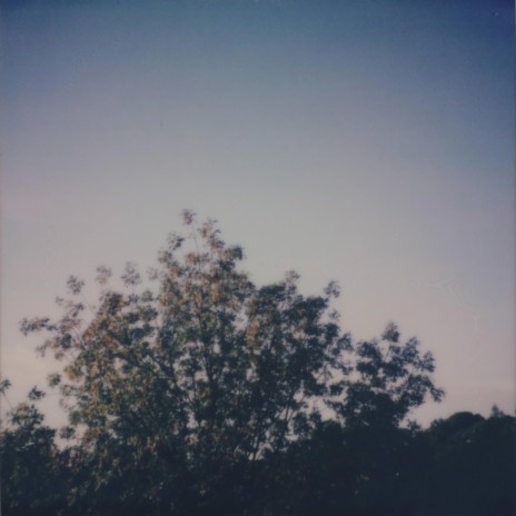 something about ethereal evening light without expression or formulation | Boomplay Music