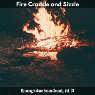 Fire Crackle and Sizzle - Relaxing Nature Scenic Sounds, Vol. 08