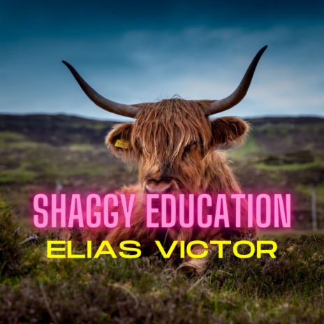 Shaggy Education | Boomplay Music
