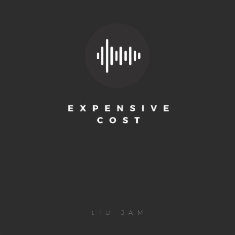 Expensive Cost (Acoustic Guitar Instrumental) (Guitar Instrumental)
