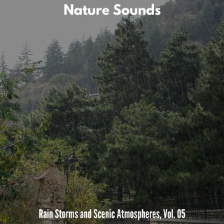 Nature Sounds - Rain Storms and Scenic Atmospheres, Vol. 05