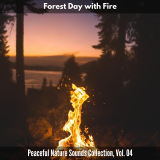 Forest Day with Fire - Peaceful Nature Sounds Collection, Vol. 04