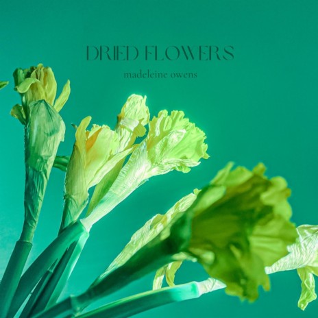 Dried Flowers | Boomplay Music