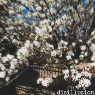 disillusion lyrics | Boomplay Music