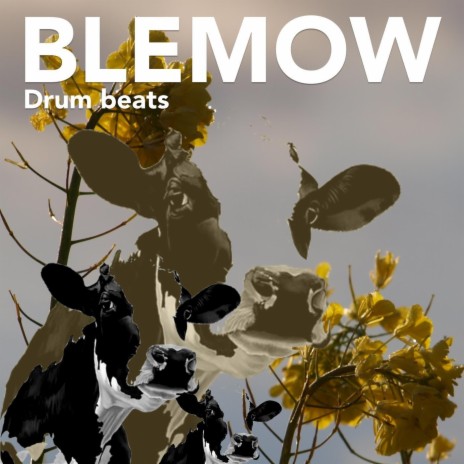 Drum Beats | Boomplay Music