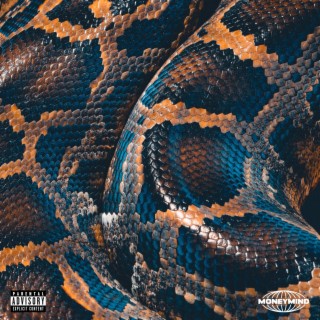 Snake lyrics | Boomplay Music