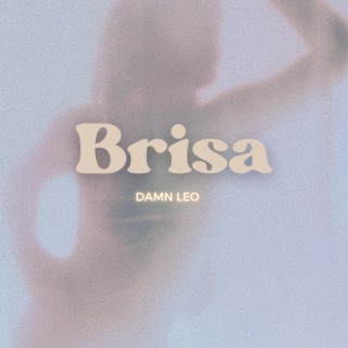 Brisa