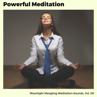 Powerful Meditation - Moonlight Mangling Meditation Sounds, Vol. 09