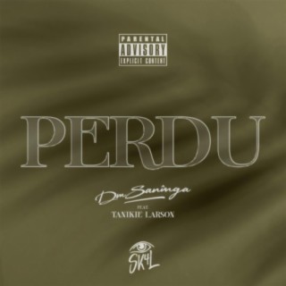 Perdu (feat. Tanikie Larson)