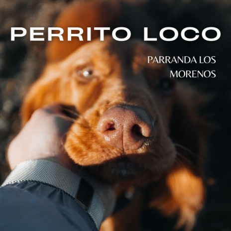Perrito Loco | Boomplay Music