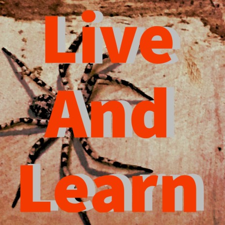 Live and Learn | Boomplay Music