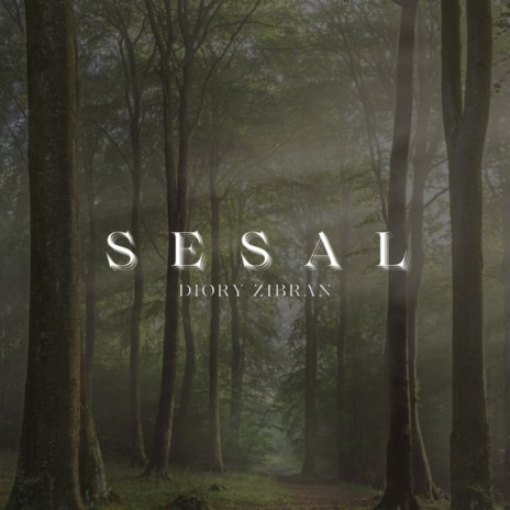 Sesal | Boomplay Music